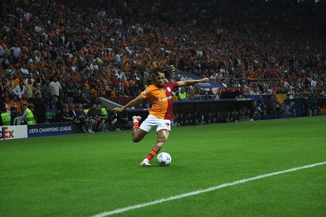 僅給水晶宮 僅給水晶宮