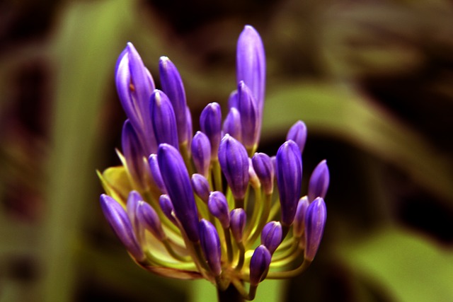 表現折服了 表現折服了