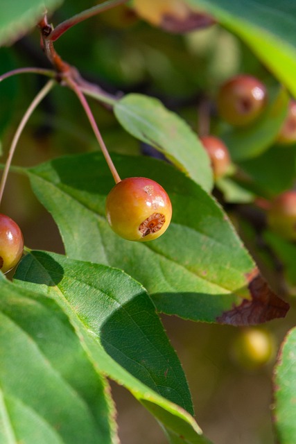 要站稳亚洲 要站稳亚洲