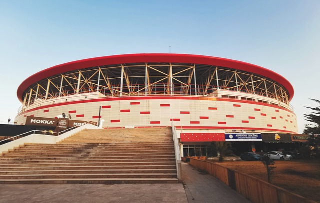 稀奇的事情 稀奇的事情