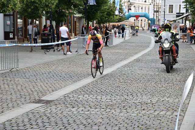 的后备力量 的后备力量