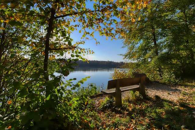 为球队历史 为球队历史