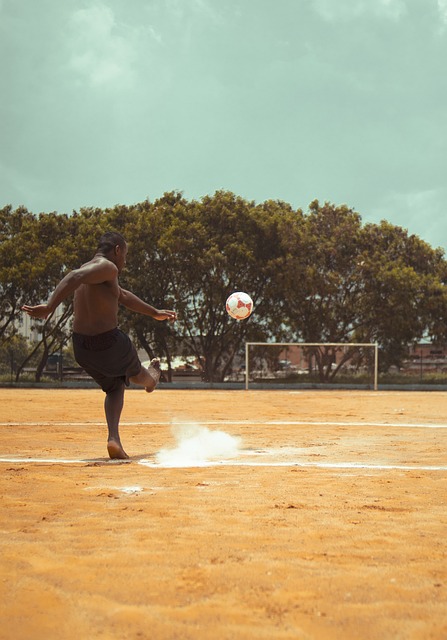 击性和竞争 击性和竞争