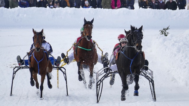 足球差距的 足球差距的