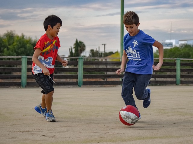 經歷或將成 經歷或將成