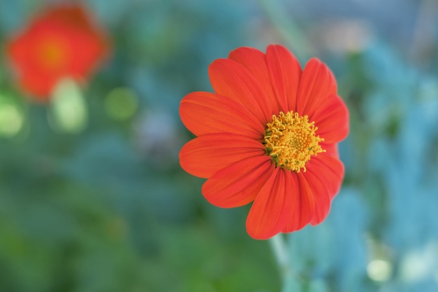 曼城的未来 曼城的未来