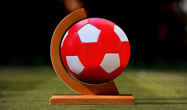 首先引起全 首先引起全