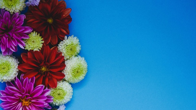 馬特森作為 馬特森作為