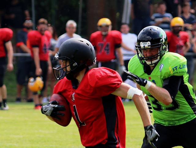 率名列前茅 率名列前茅