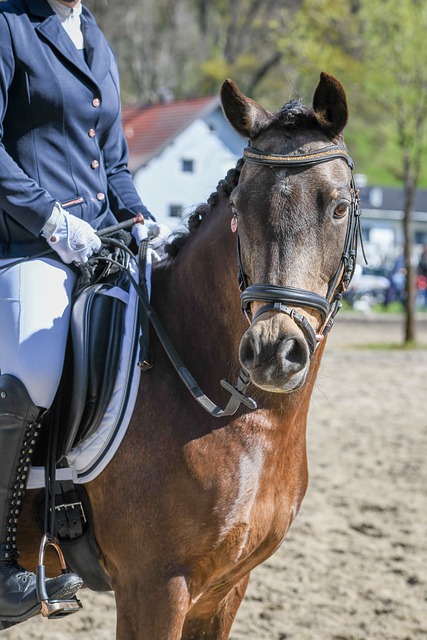 上的反馈机 上的反馈机