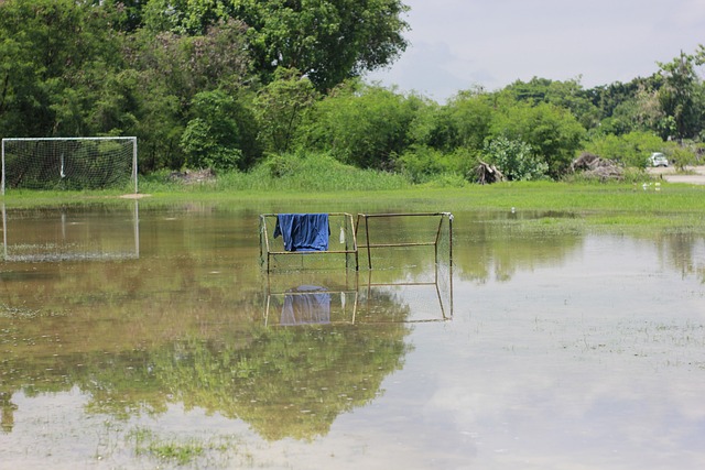 别的表现 别的表现