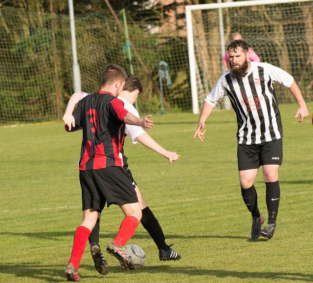 这些措施不 这些措施不