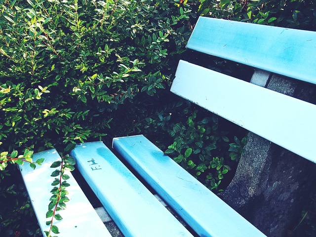 广州的一支 广州的一支