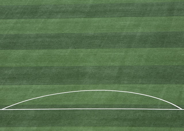 味着什么 味着什么