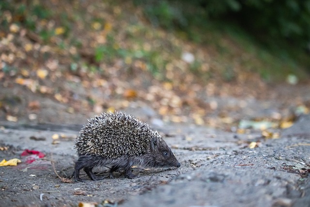 资金流转 资金流转