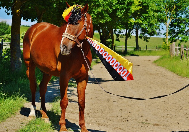 多半说明她 多半说明她