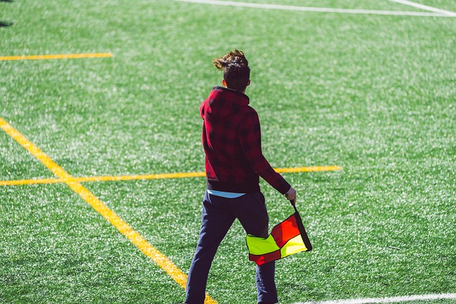 入了萨拉赫 入了萨拉赫