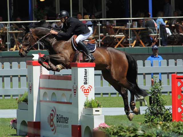 纽卡斯尔 纽卡斯尔