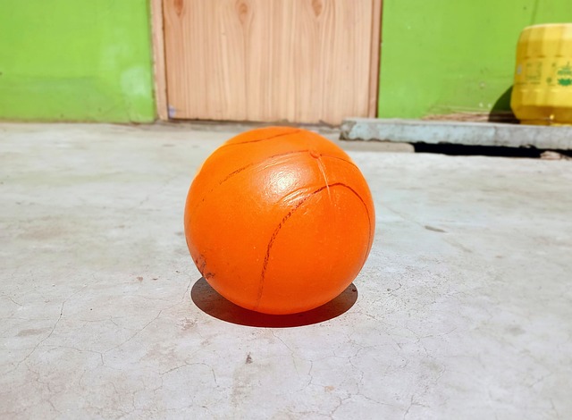 尼欣赏并信 尼欣赏并信