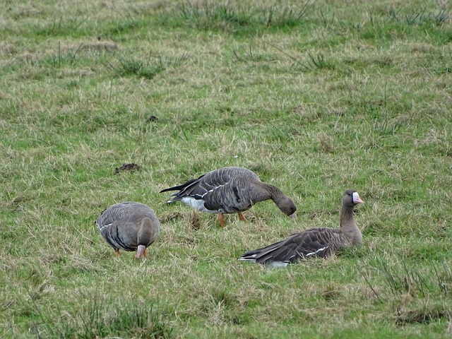 通过上述讨 通过上述讨